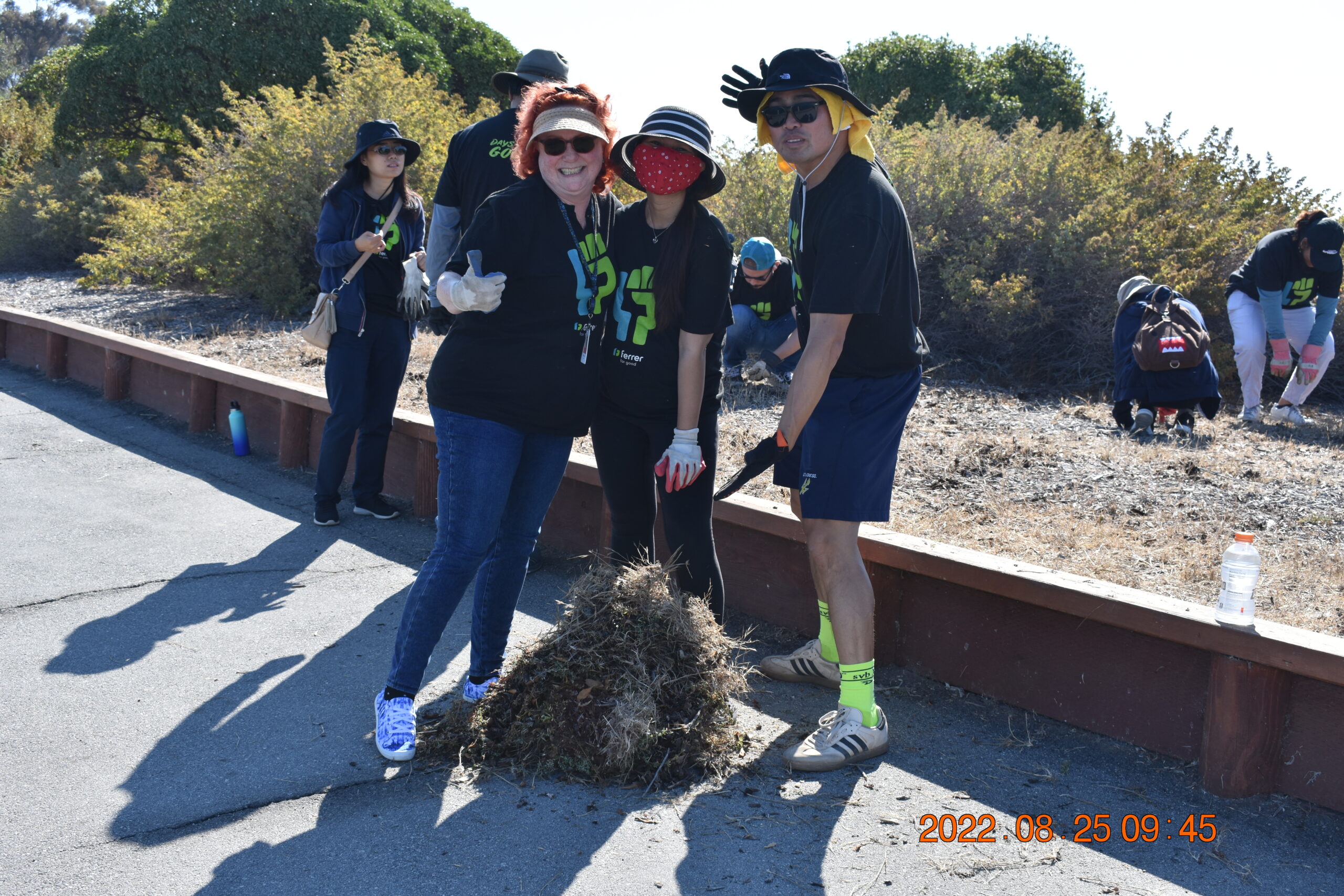 Voluntariado y Biodiversidad
