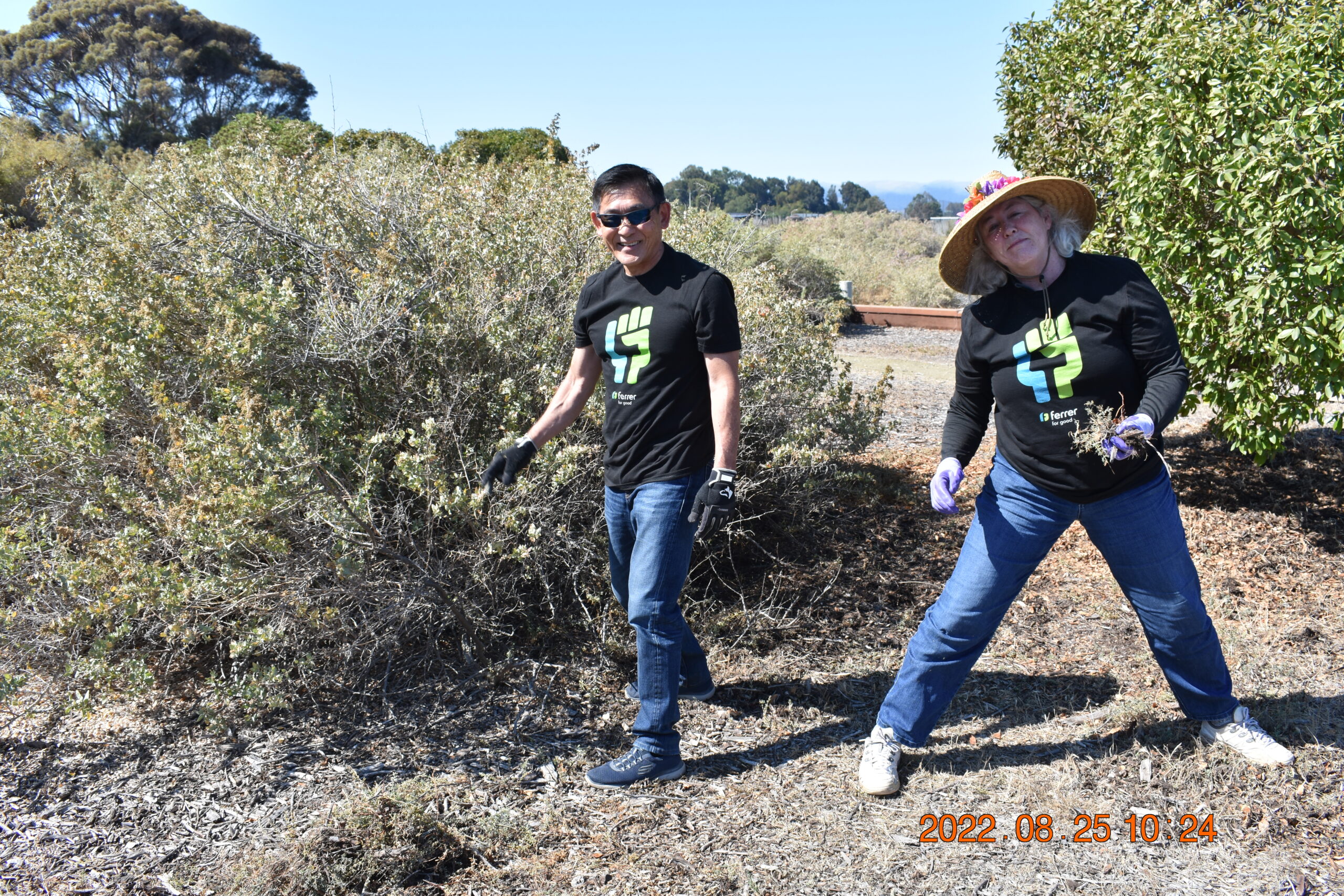 Voluntariado y Biodiversidad