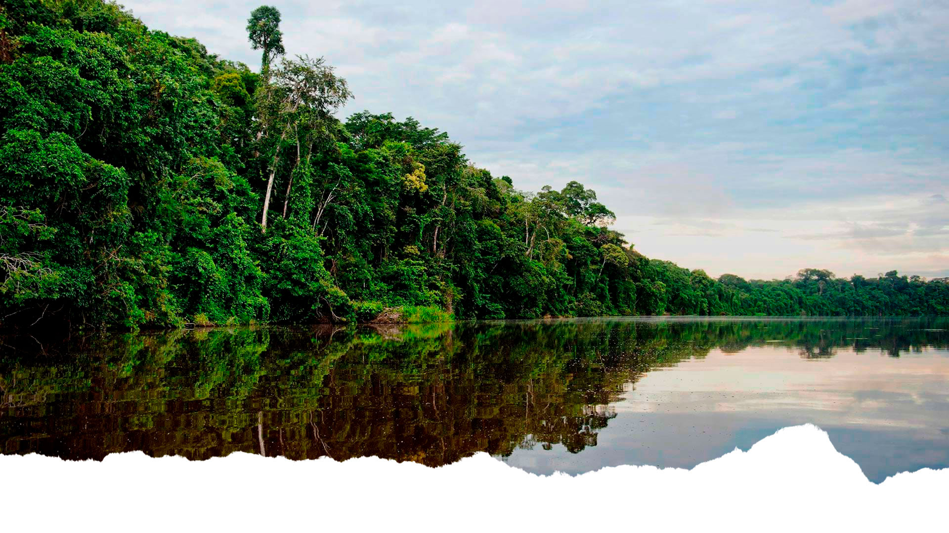 Tambopata